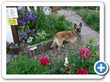 sdc10486_(fileminimizer)