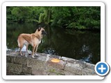 sdc10586_(fileminimizer)