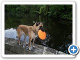sdc10587_(fileminimizer)