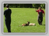 Hundeplatz_018