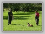 Hundeplatz_023