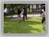 Img2005-07-03_0052