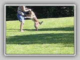 Img2005-06-19_0018