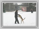 schlange_012