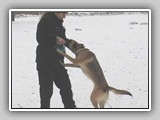 schlange_013